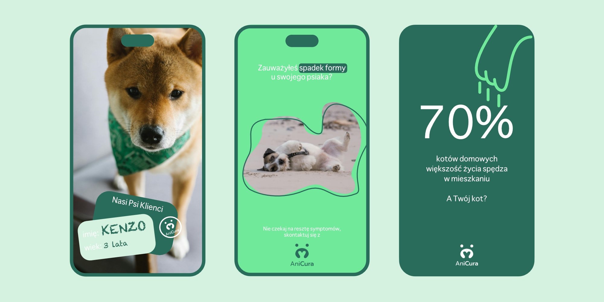 Trzy projekty postów na Instagram dla AniCura – relacja z psem Kenzo, grafika edukacyjna o spadku formy u psa oraz infografika o kotach domowych z wynikiem 70%